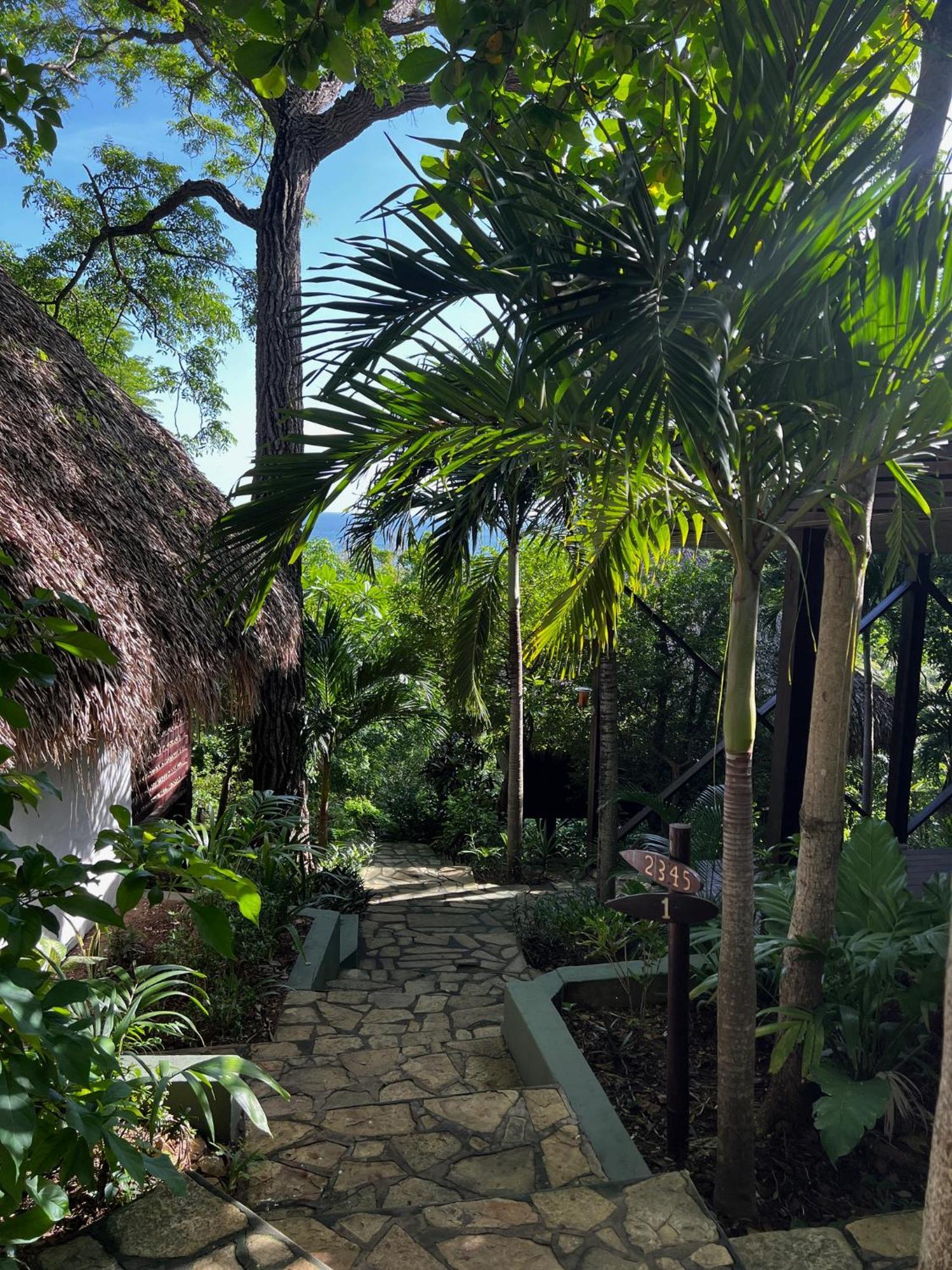 Buena Vista Surf Club Hotel Playa Maderas Luaran gambar